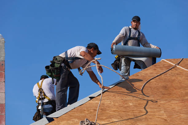 Best Residential Roofing Contractor  in Waterloo, IA